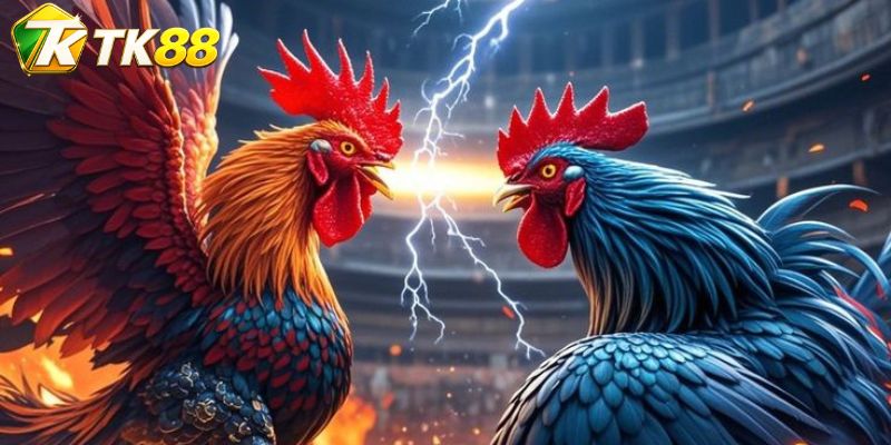 Nhịp Butcher được đọc qua hai trục chuyển động